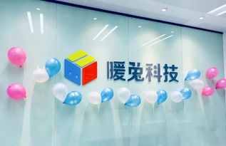 厦门暖兔科技前端工程师招聘 工程技术咨询服务领域的挑战与机遇