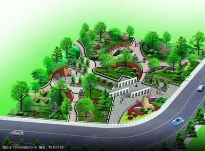 园林乔木图片素材在景观设计中的应用